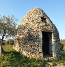 Image du lot